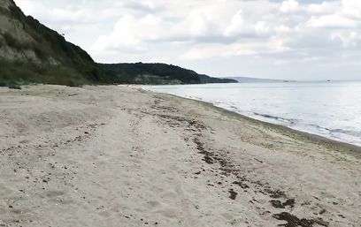 Увидел на берегу моря белокурую русалку и отжарил её в рот и попку