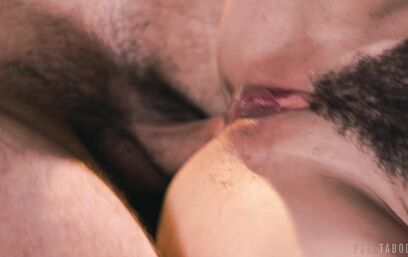 Анальная коррупция