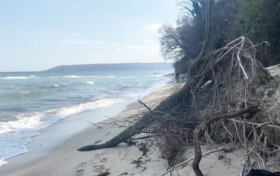 Море, сиськи и песок