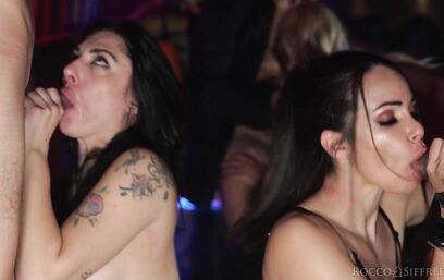 Неугомонный Рокко и рабочие попы поклонниц